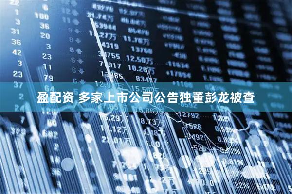 盈配资 多家上市公司公告独董彭龙被查