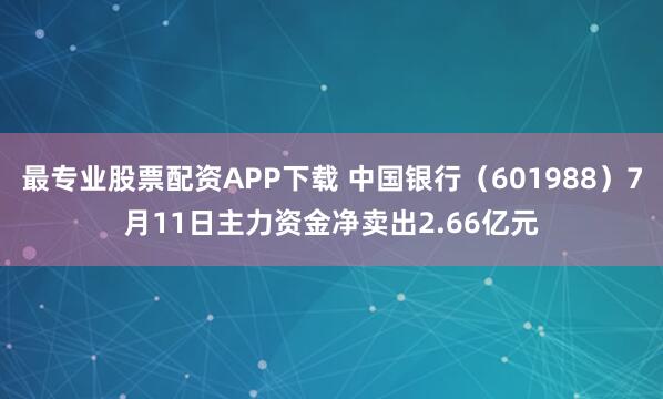 最专业股票配资APP下载 中国银行（601988）7月11日主力资金净卖出2.66亿元