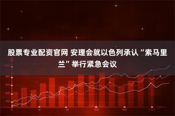 股票专业配资官网 安理会就以色列承认“索马里兰”举行紧急会议