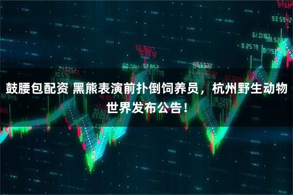 鼓腰包配资 黑熊表演前扑倒饲养员，杭州野生动物世界发布公告！