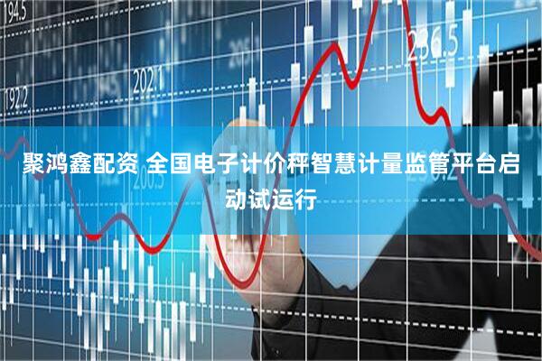 聚鸿鑫配资 全国电子计价秤智慧计量监管平台启动试运行