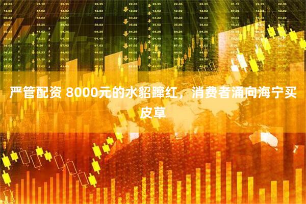 严管配资 8000元的水貂蹿红，消费者涌向海宁买皮草