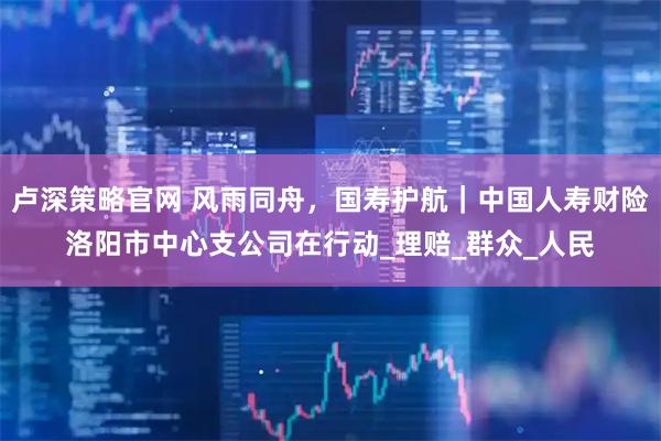 卢深策略官网 风雨同舟，国寿护航｜中国人寿财险洛阳市中心支公司在行动_理赔_群众_人民