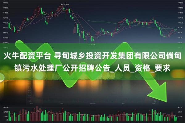 火牛配资平台 寻甸城乡投资开发集团有限公司倘甸镇污水处理厂公开招聘公告_人员_资格_要求